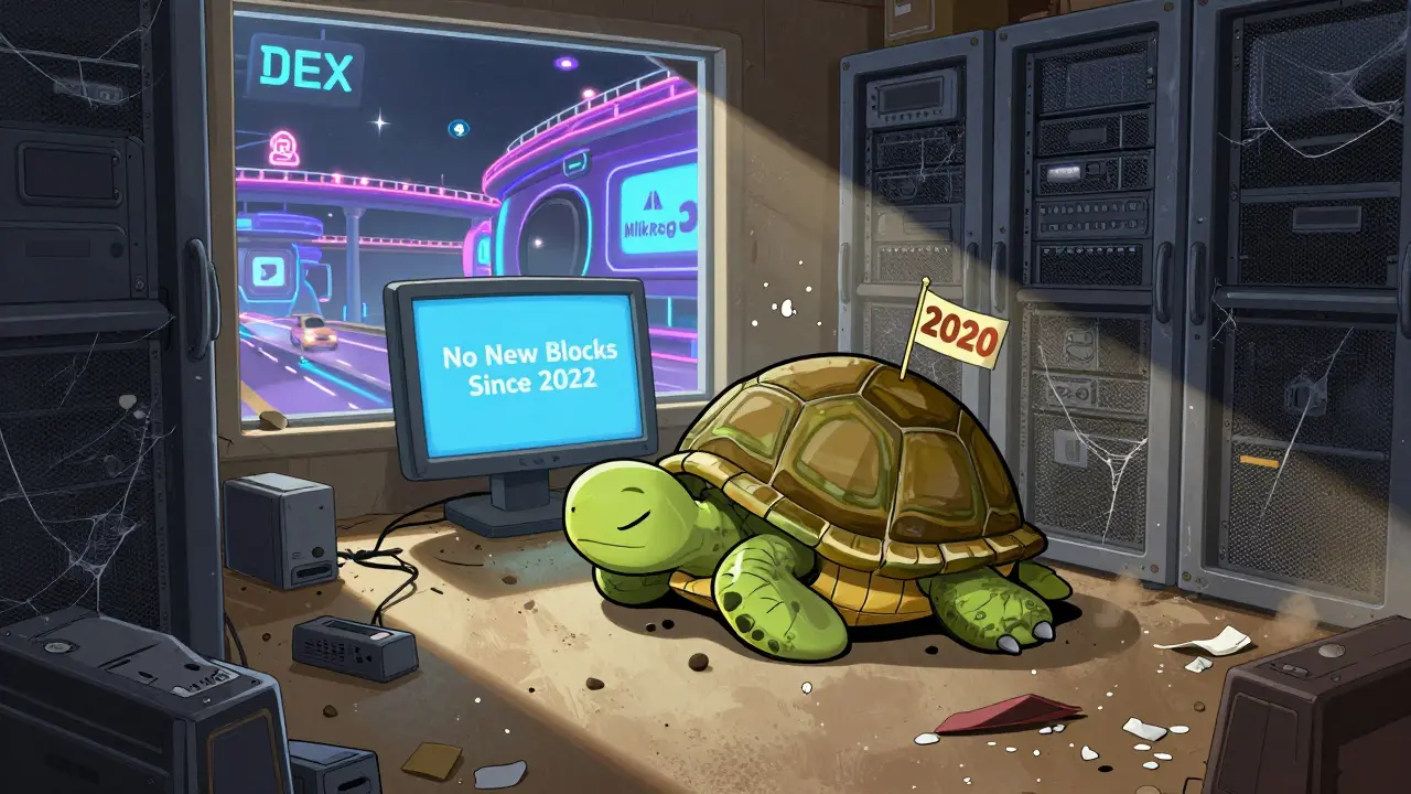 A sleepy turtle sleeps in an abandoned server room as modern DEXes zoom past outside the window.