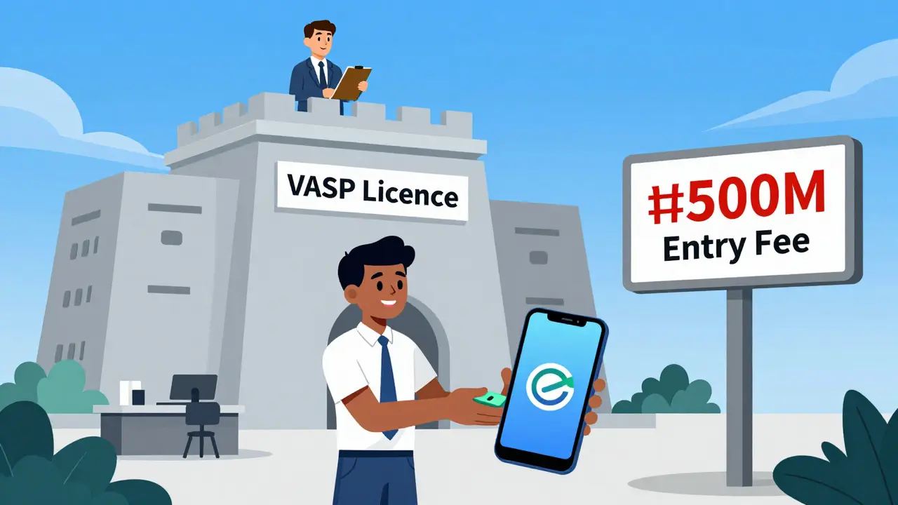 Small business using eNaira while high VASP license fees deter direct crypto adoption