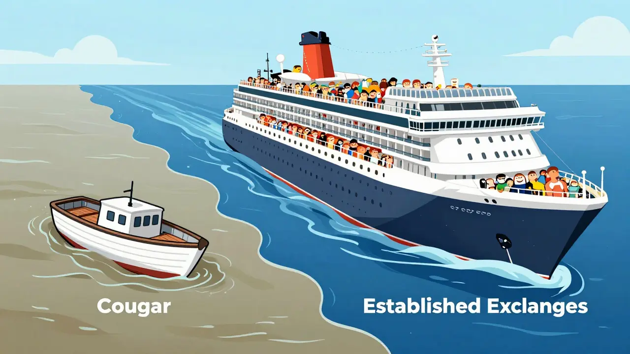 Cartoon comparison of sinking Cougar crypto boat vs sturdy established exchange ship.
